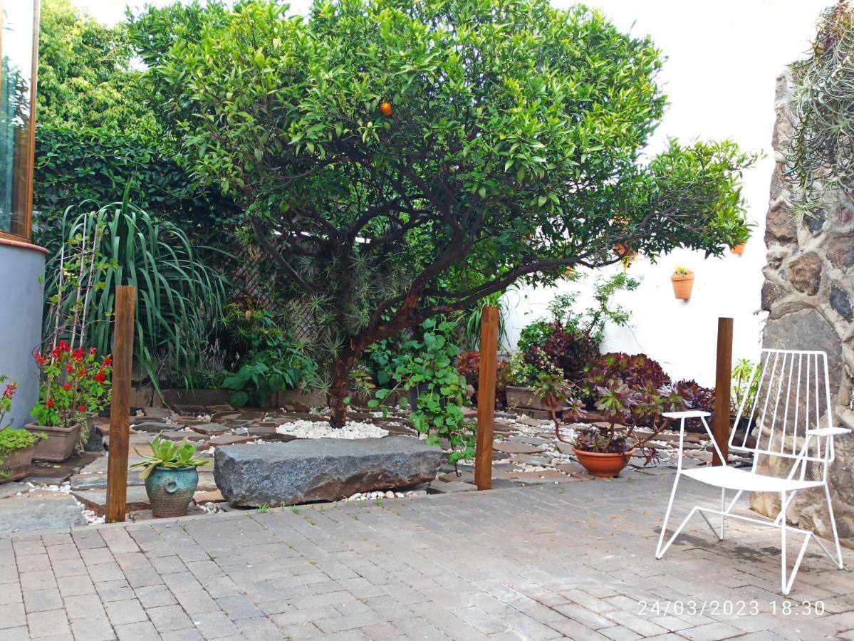 Casa Magali Villa Tacoronte Dış mekan fotoğraf